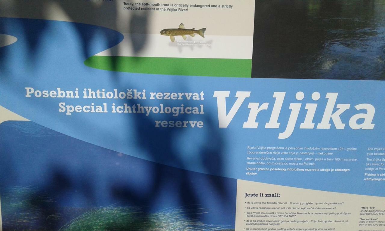 Vrljika